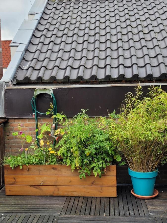 Aan De Kerkgracht Lägenhet Almere Exteriör bild